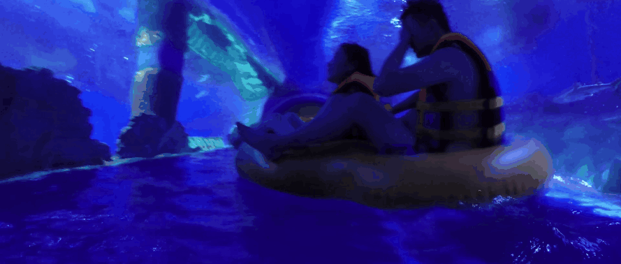 gif5新文件 (13).gif